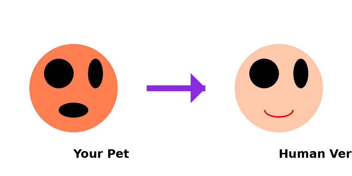 Pet to Human Transformation